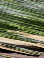 CERAMICA MESCLA TAMPA