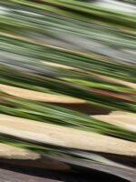 CERAMICA MESCLA TAMPA